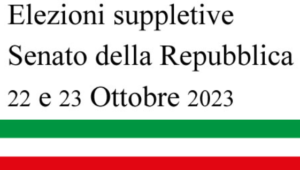 ELEZIONE SUPPLETIVA DEL SENATO DELLA REPUBBLICA